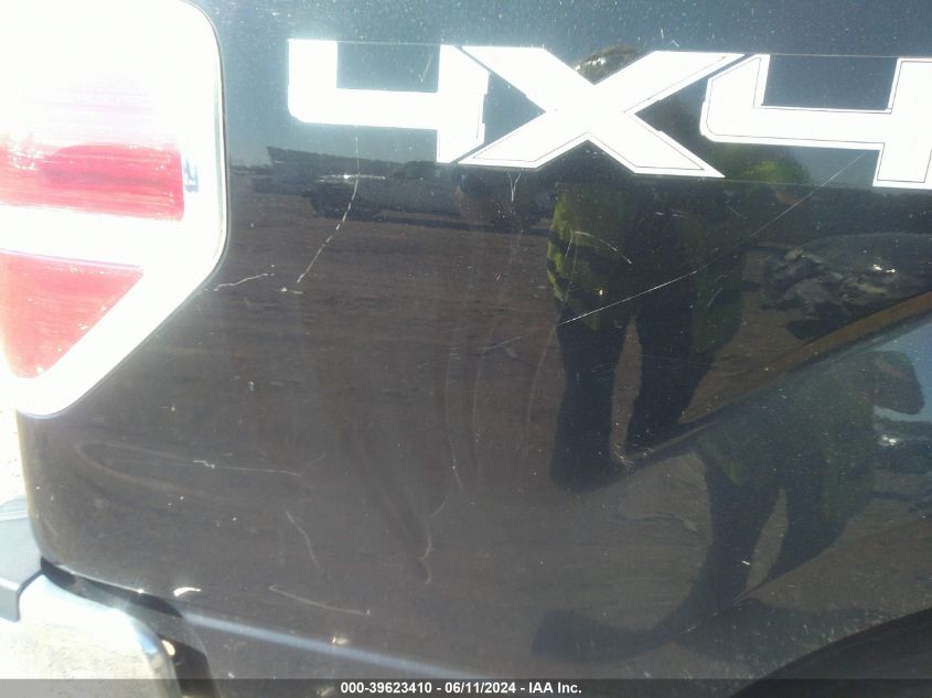 2010 Ford F-150 Fx4/Harley-Davidson/King Ranch/Lariat/Platinum/Xl/Xlt VIN: 1FTFW1EV7AFD65048 Lot: 39623410