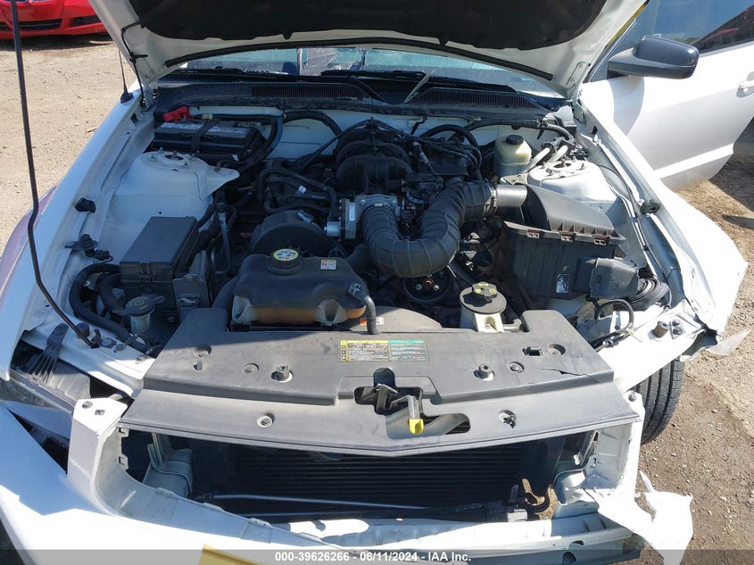 2005 Ford Mustang VIN: 1ZVFT84N455240181 Lot: 39626266