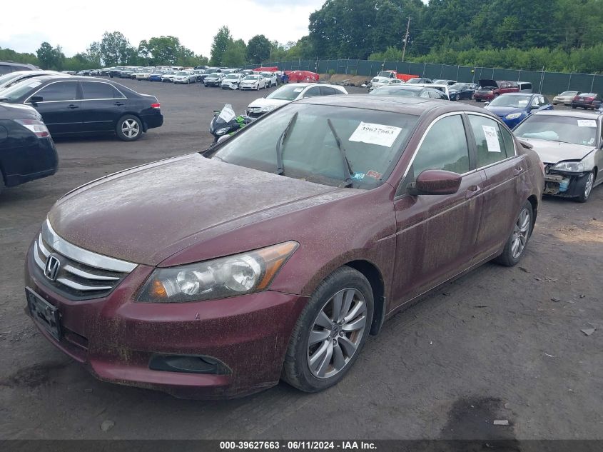 2011 Honda Accord 2.4 Ex-L VIN: 1HGCP2F80BA152151 Lot: 39627663