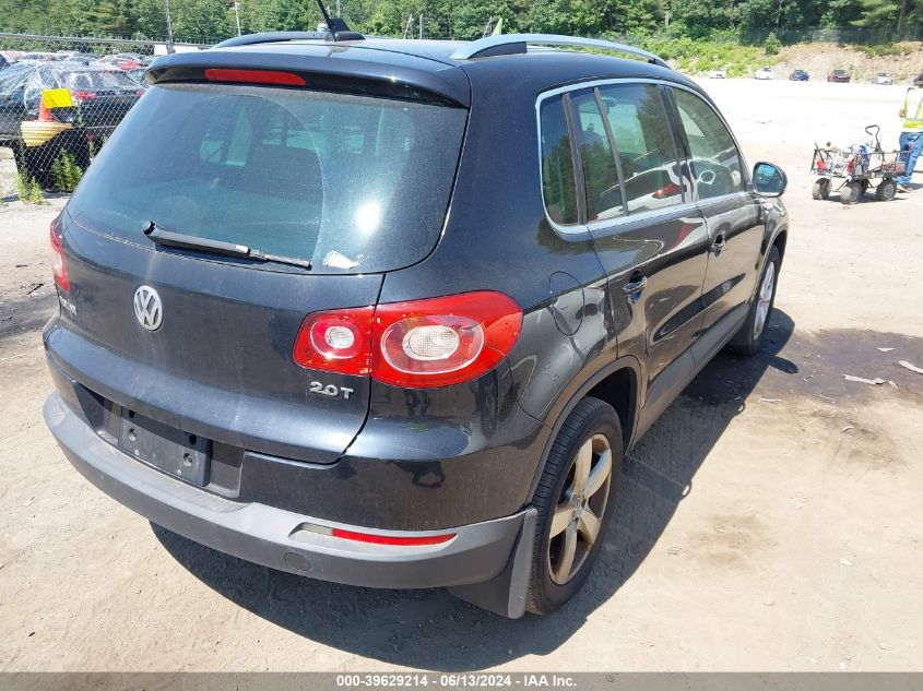 2010 Volkswagen Tiguan Wolfsburg Edition VIN: WVGBV7AX8AW523789 Lot: 39629214