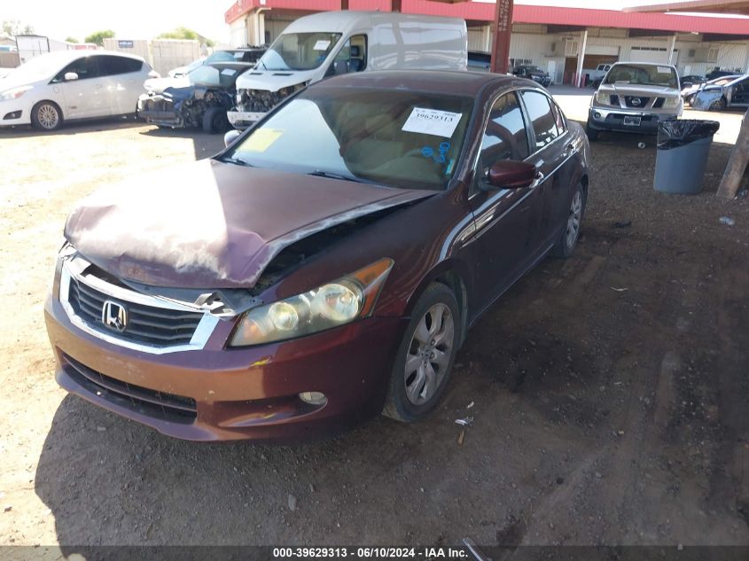 2010 Honda Accord 3.5 Ex-L VIN: 5KBCP3F8XAB017416 Lot: 39629313