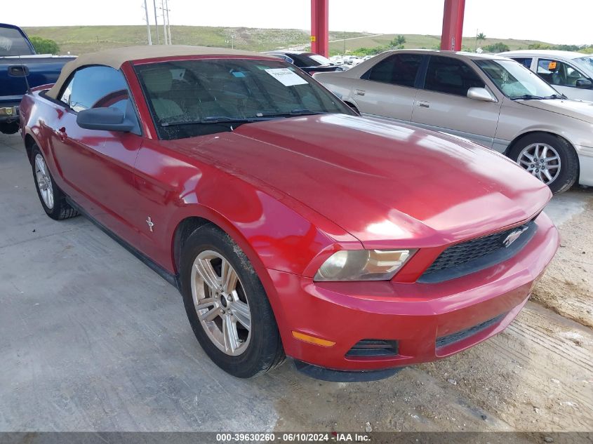 2010 Ford Mustang V6/V6 Premium VIN: 1ZVBP8EN8A5120587 Lot: 39630260