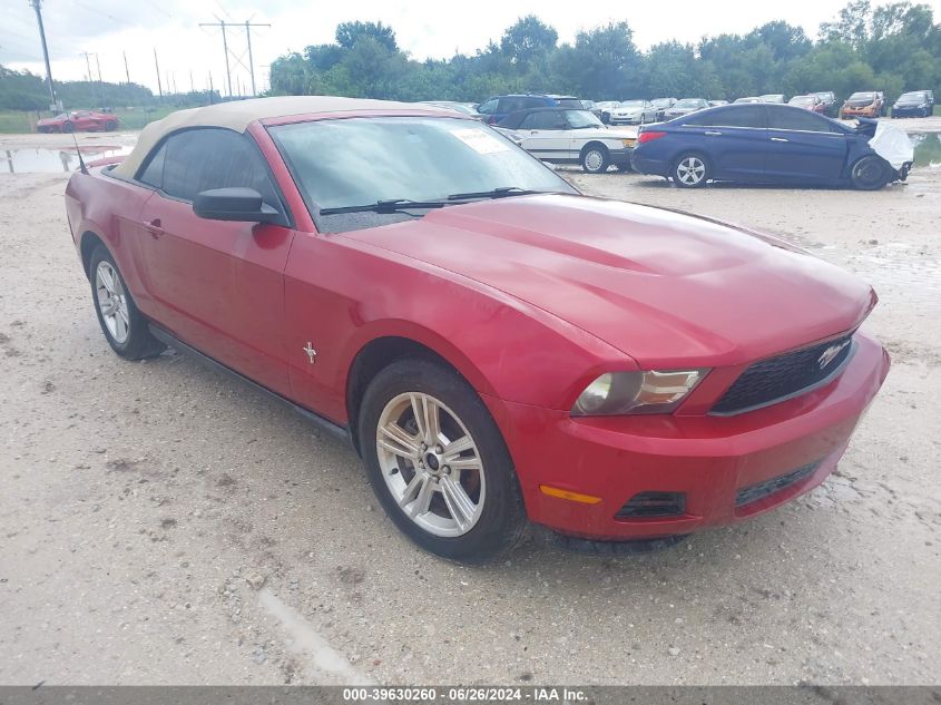 2010 Ford Mustang V6/V6 Premium VIN: 1ZVBP8EN8A5120587 Lot: 39630260