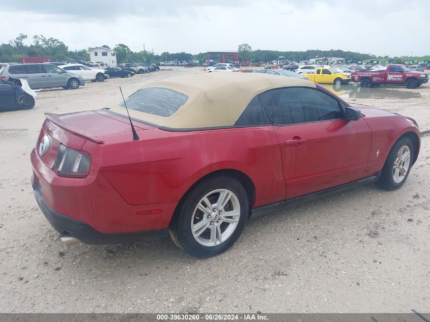 2010 Ford Mustang V6/V6 Premium VIN: 1ZVBP8EN8A5120587 Lot: 39630260