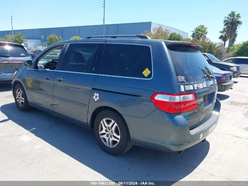 2005 Honda Odyssey Ex-L VIN: 5FNRL386X5B417501 Lot: 39631355