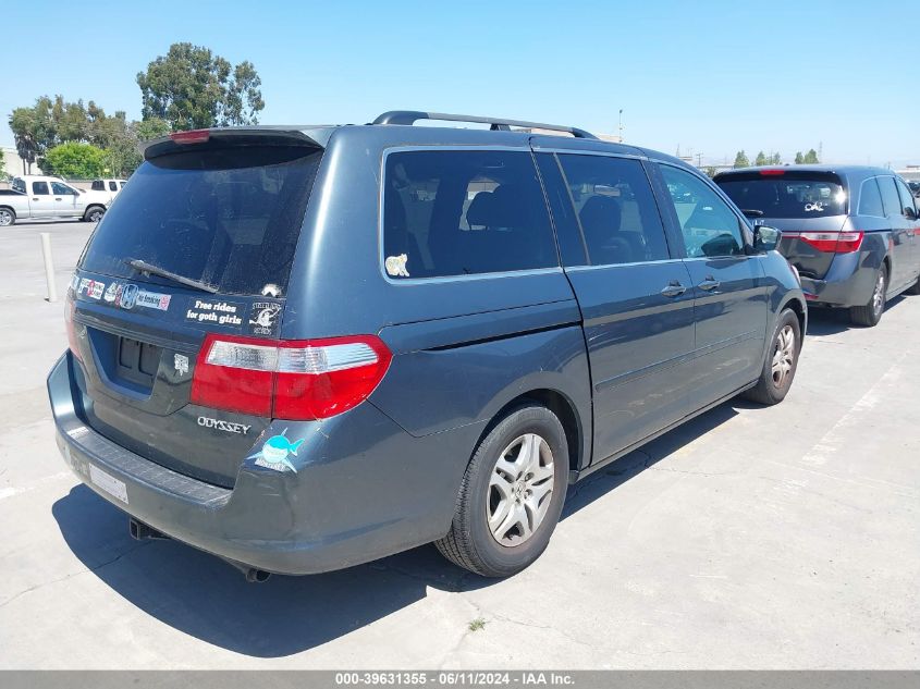 2005 Honda Odyssey Ex-L VIN: 5FNRL386X5B417501 Lot: 39631355