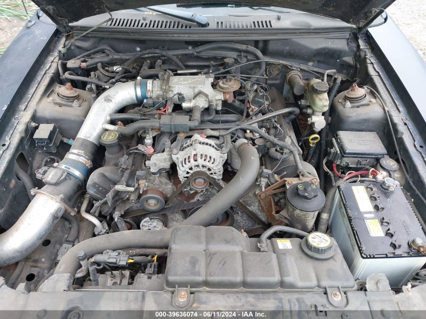 2003 Ford Mustang Gt VIN: 1FAFP42X13F343317 Lot: 39636074