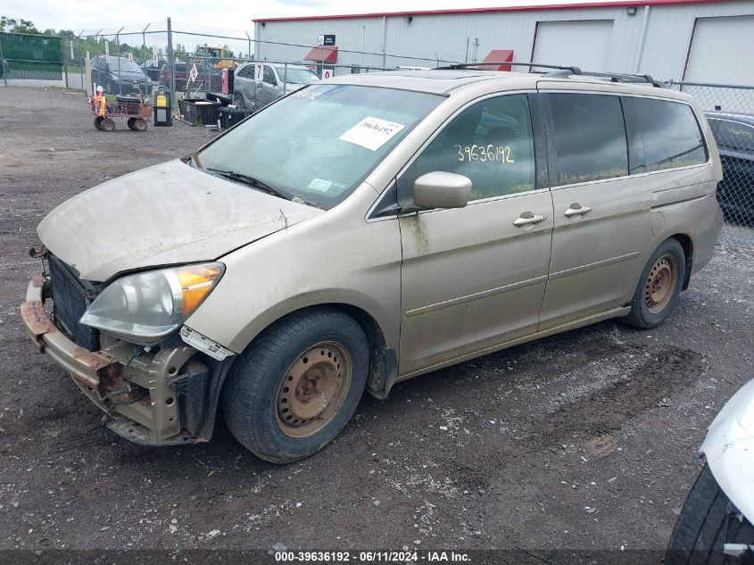 2005 Honda Odyssey Ex-L VIN: 5FNRL38645B424685 Lot: 39636192