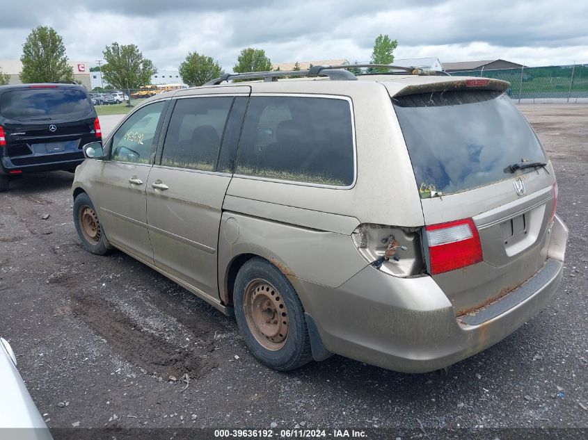 2005 Honda Odyssey Ex-L VIN: 5FNRL38645B424685 Lot: 39636192