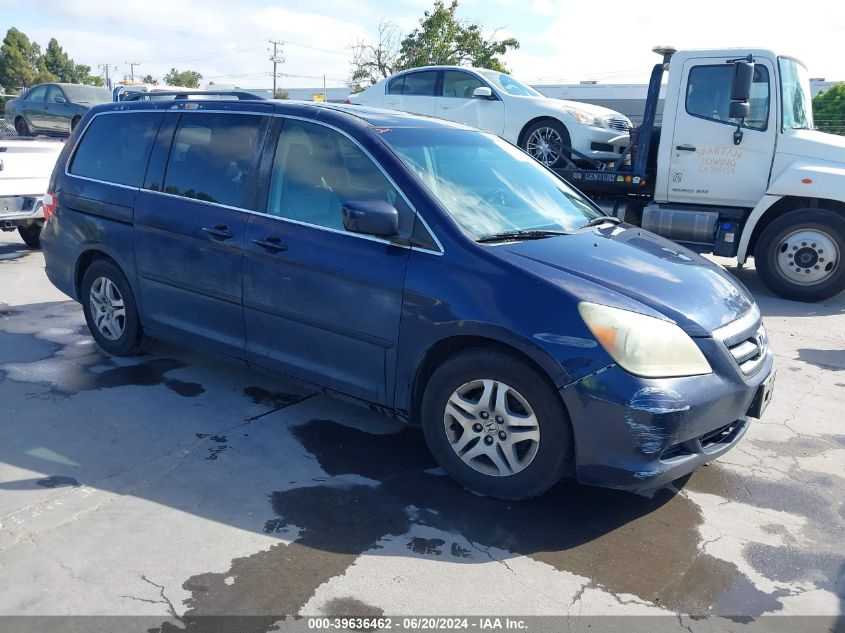 2006 Honda Odyssey Exl VIN: 5FNRL38686B059557 Lot: 39636462