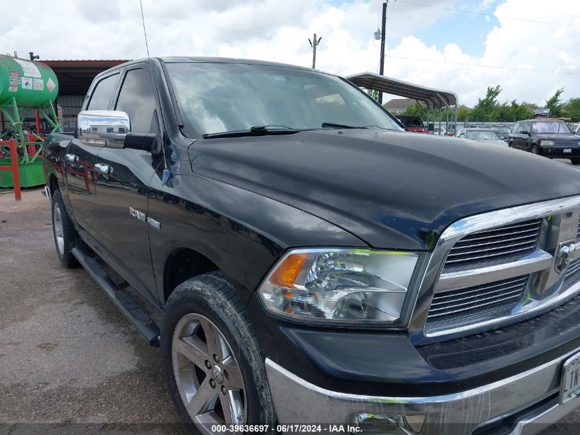 2009 Dodge Ram 1500 Slt/Sport/Trx VIN: 1D3HB13TX9S765573 Lot: 39636697