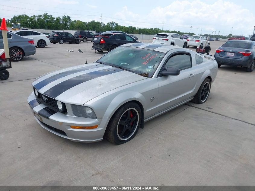 2009 Ford Mustang Gt/Gt Premium VIN: 1ZVHT82H695125111 Lot: 39639457