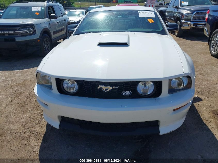 2008 Ford Mustang Gt Deluxe/Gt Premium VIN: 1ZVHT82H285156225 Lot: 39640191