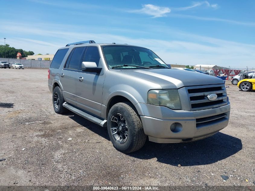 2009 Ford Expedition Limited VIN: 1FMFU19599LA05756 Lot: 39640623