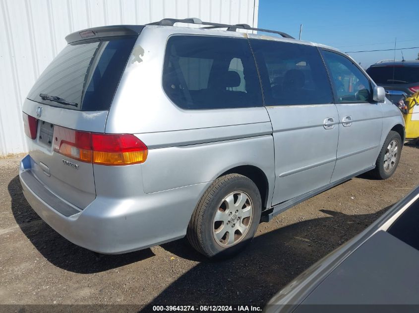 2002 Honda Odyssey Ex-L VIN: 5FNRL18742B048756 Lot: 39643274