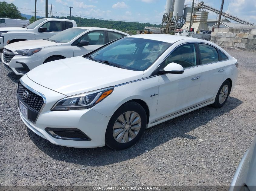 2016 Hyundai Sonata Hybrid Se VIN: KMHE24L1XGA038699 Lot: 39644373