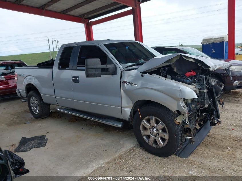 2013 Ford F-150 Xlt VIN: 1FTFX1EF7DKD22752 Lot: 39644703