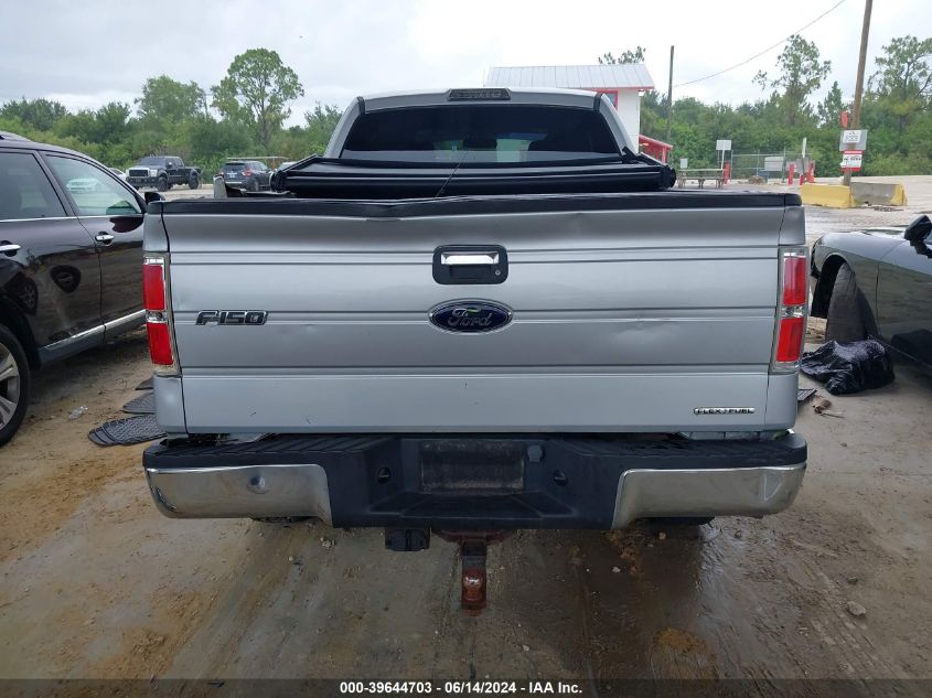 2013 Ford F-150 Xlt VIN: 1FTFX1EF7DKD22752 Lot: 39644703