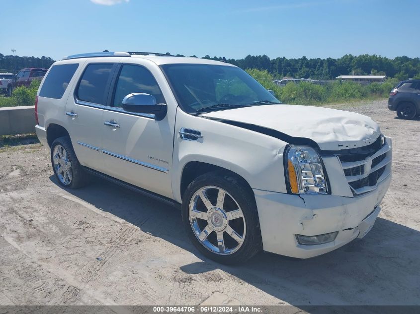 2010 Cadillac Escalade Premium VIN: 1GYUKCEF5AR156519 Lot: 39644706