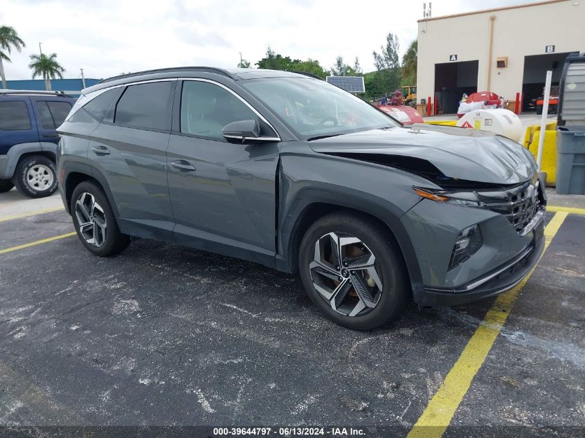 2024 Hyundai Tucson Limited VIN: 5NMJE3DE3RH317863 Lot: 39644797