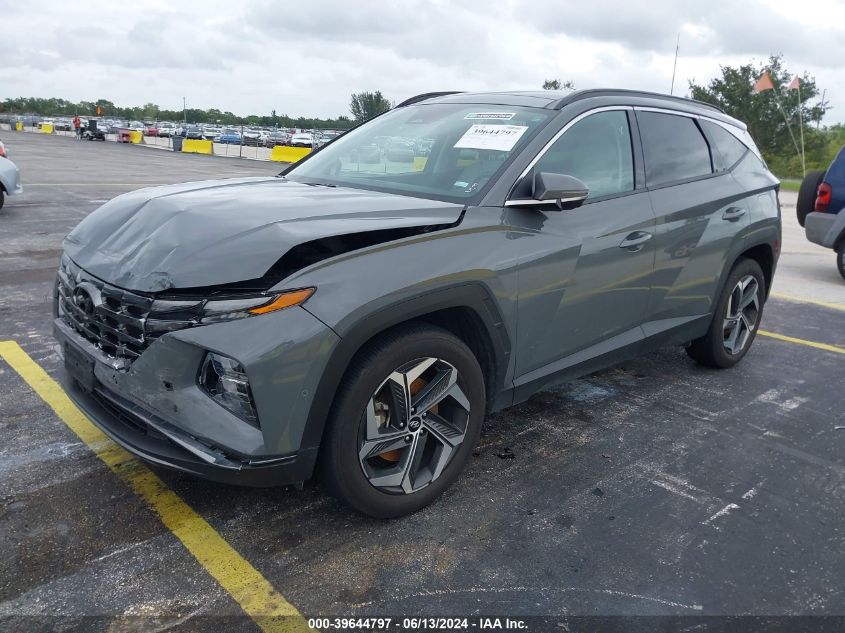 2024 Hyundai Tucson Limited VIN: 5NMJE3DE3RH317863 Lot: 39644797