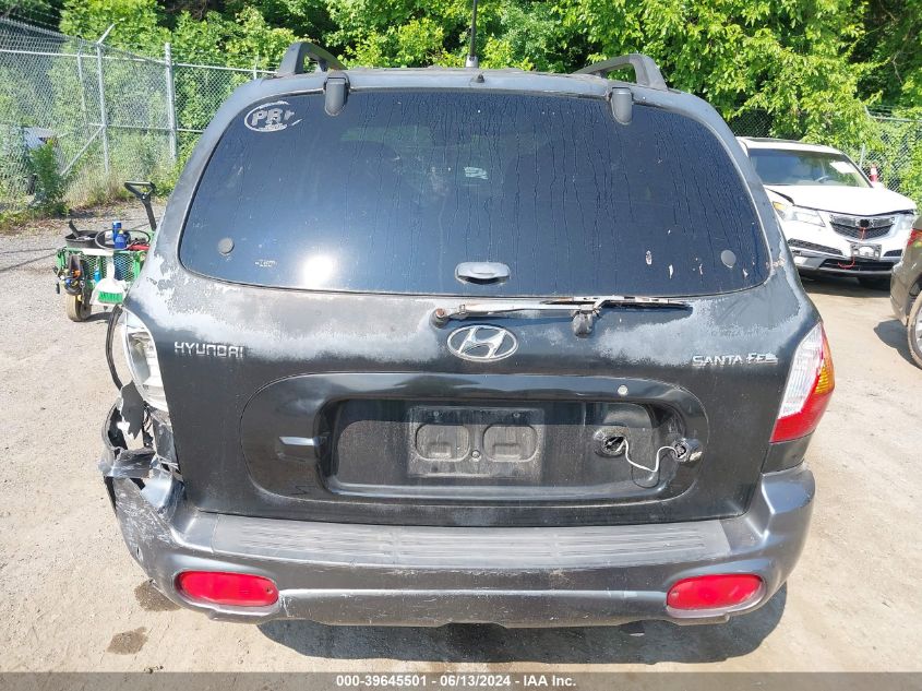 2004 Hyundai Santa Fe VIN: KM8SB12BX4U766593 Lot: 39645501