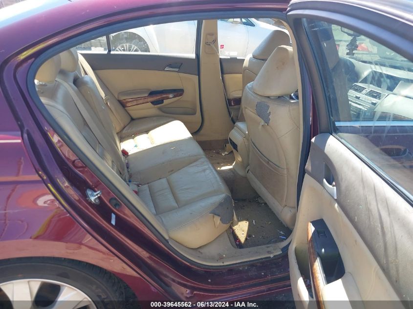 2010 Honda Accord 2.4 Ex-L VIN: 1HGCP2F85AA056238 Lot: 39645562