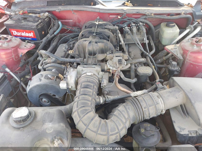 2005 Ford Mustang V6 Deluxe/V6 Premium VIN: 1ZVFT80N155162464 Lot: 39645805