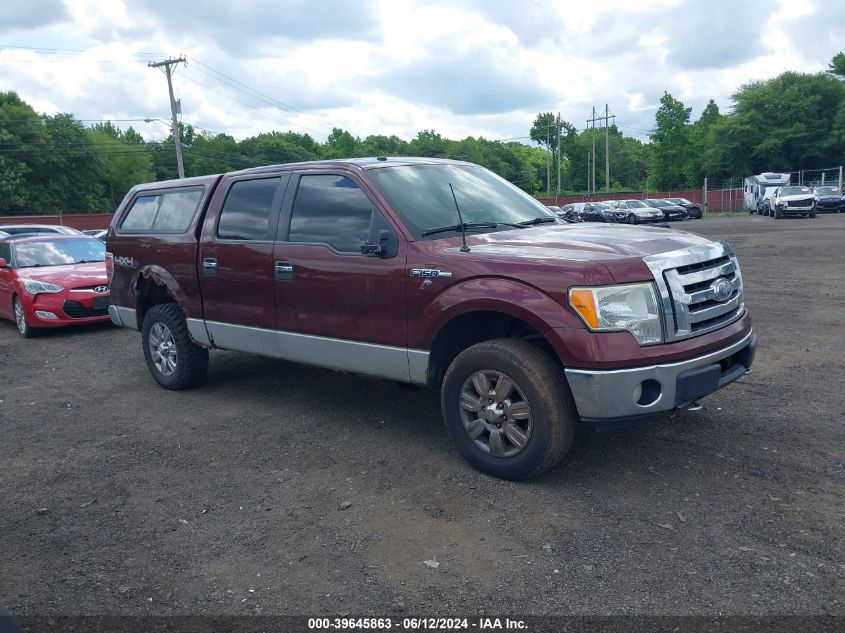 2009 Ford F-150 Fx4/King Ranch/Lariat/Platinum/Xl/Xlt VIN: 1FTPW14VX9FB22013 Lot: 39645863