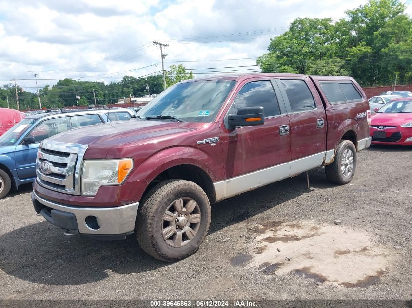 2009 Ford F-150 Fx4/King Ranch/Lariat/Platinum/Xl/Xlt VIN: 1FTPW14VX9FB22013 Lot: 39645863