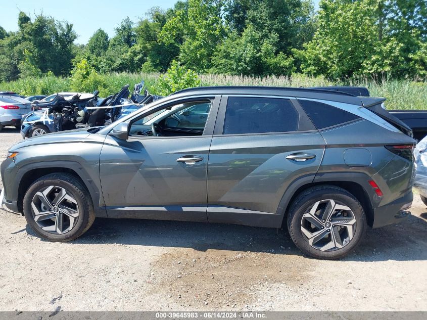 2023 Hyundai Tucson Sel VIN: 5NMJFCAE6PH164524 Lot: 39645983