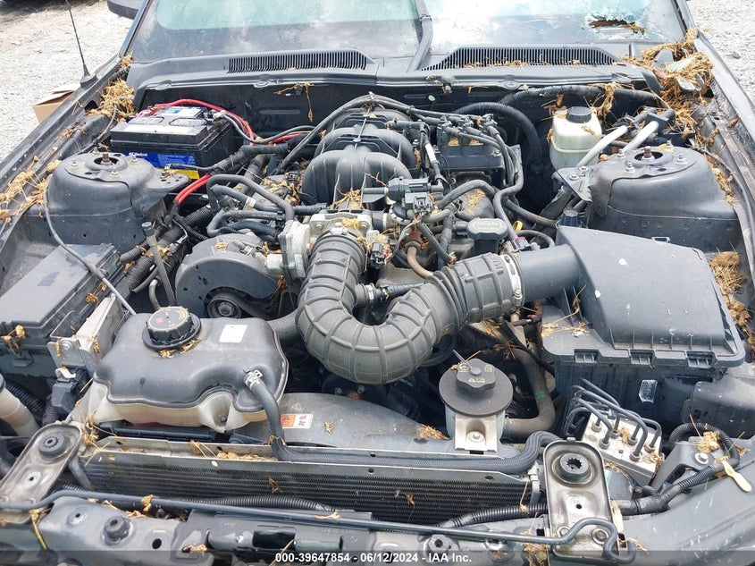 2005 Ford Mustang V6 Deluxe/V6 Premium VIN: 1ZVFT80N155130548 Lot: 39647854