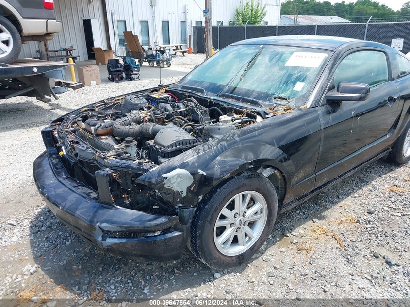 2005 Ford Mustang V6 Deluxe/V6 Premium VIN: 1ZVFT80N155130548 Lot: 39647854