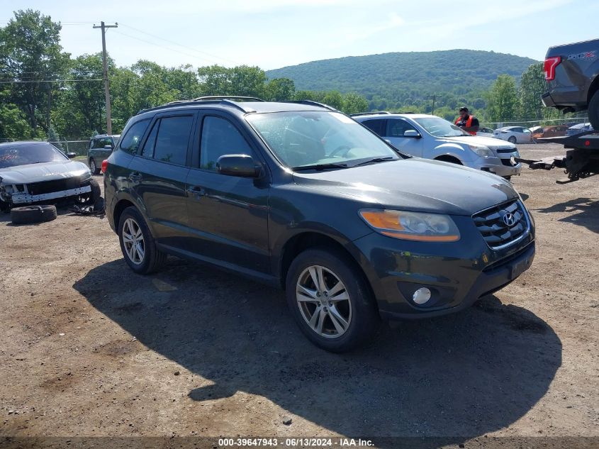 2010 Hyundai Santa Fe Se VIN: 5NMSHDAG6AH337973 Lot: 39647943