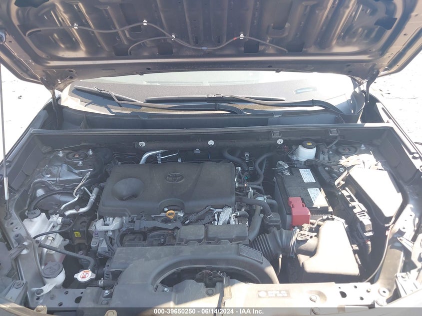 2019 TOYOTA RAV4 LE - 2T3F1RFVXKC032811