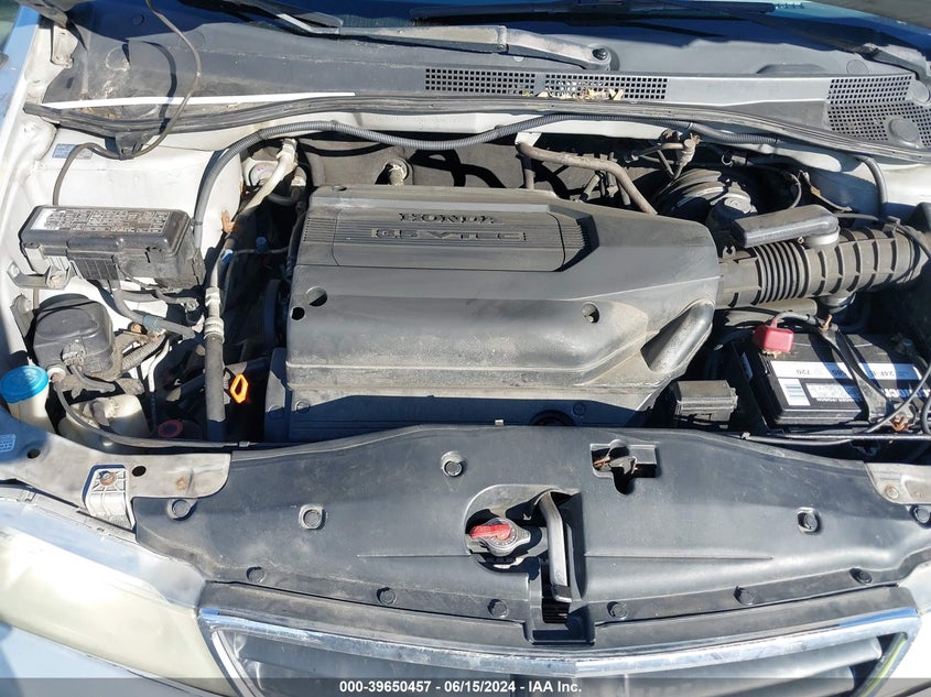 2004 Honda Odyssey Ex-L VIN: 5FNRL189X4B084391 Lot: 39650457