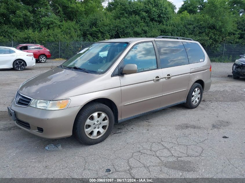 2004 Honda Odyssey Ex-L VIN: 5FNRL18044B116110 Lot: 39651097