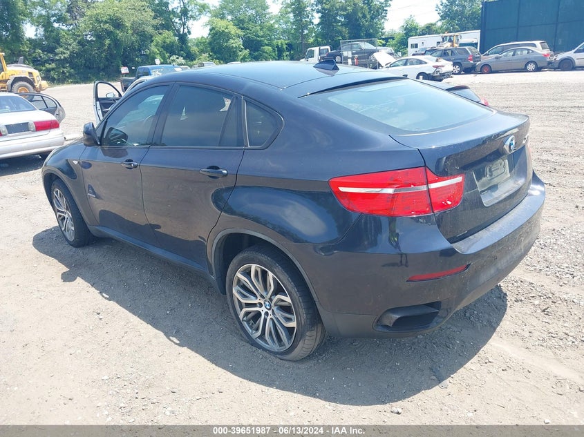 2009 BMW X6 xDrive50I VIN: 5UXFG83559LZ94294 Lot: 39651987