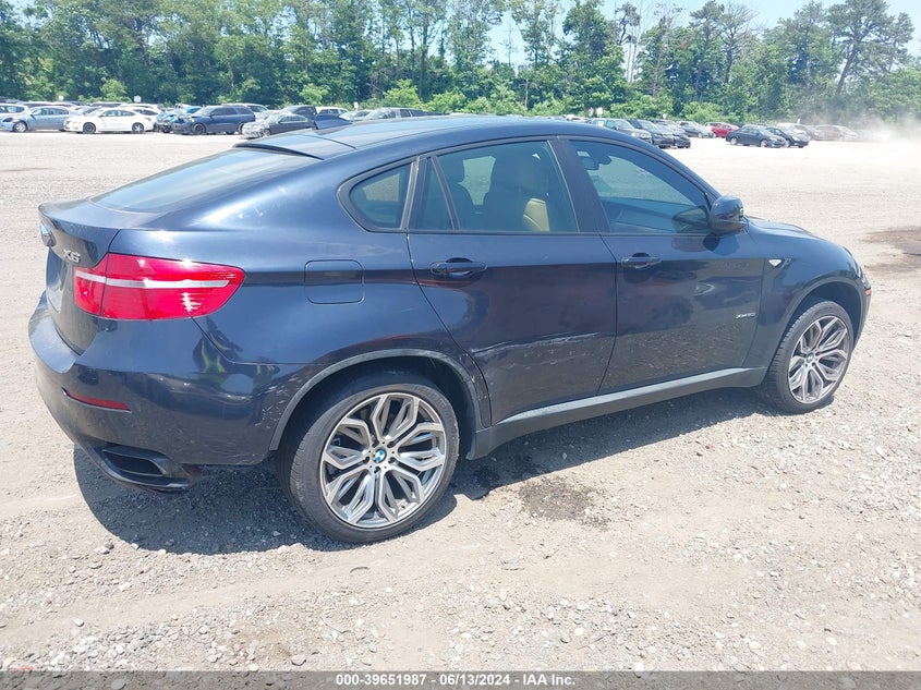 2009 BMW X6 xDrive50I VIN: 5UXFG83559LZ94294 Lot: 39651987