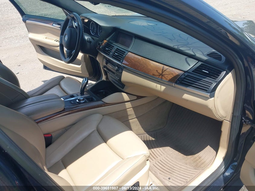 2009 BMW X6 xDrive50I VIN: 5UXFG83559LZ94294 Lot: 39651987