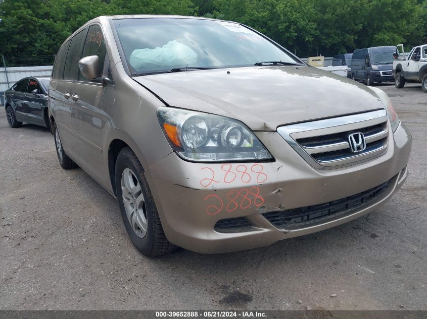 2007 Honda Odyssey Ex-L VIN: 5FNRL38747B107811 Lot: 39652888