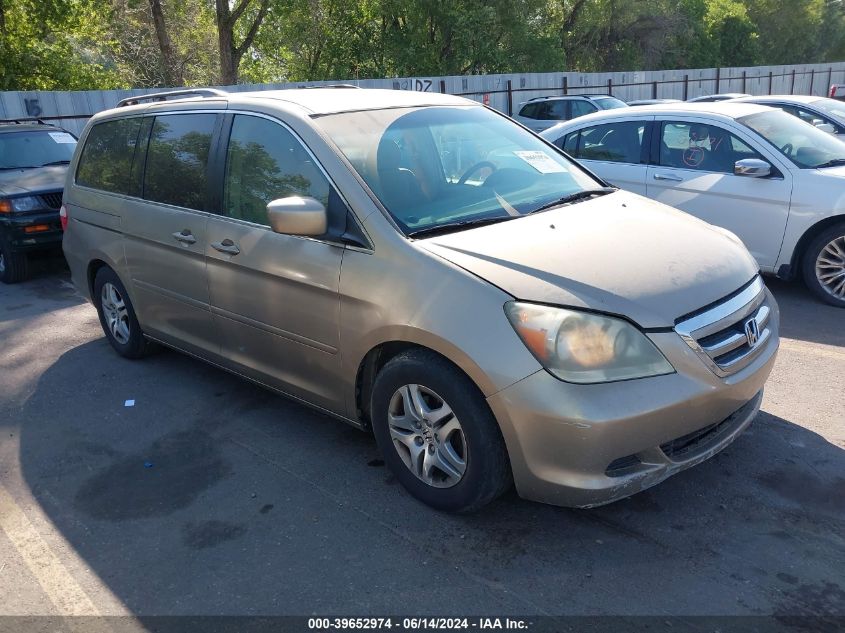 2006 Honda Odyssey Ex VIN: 5FNRL38436B084042 Lot: 39652974