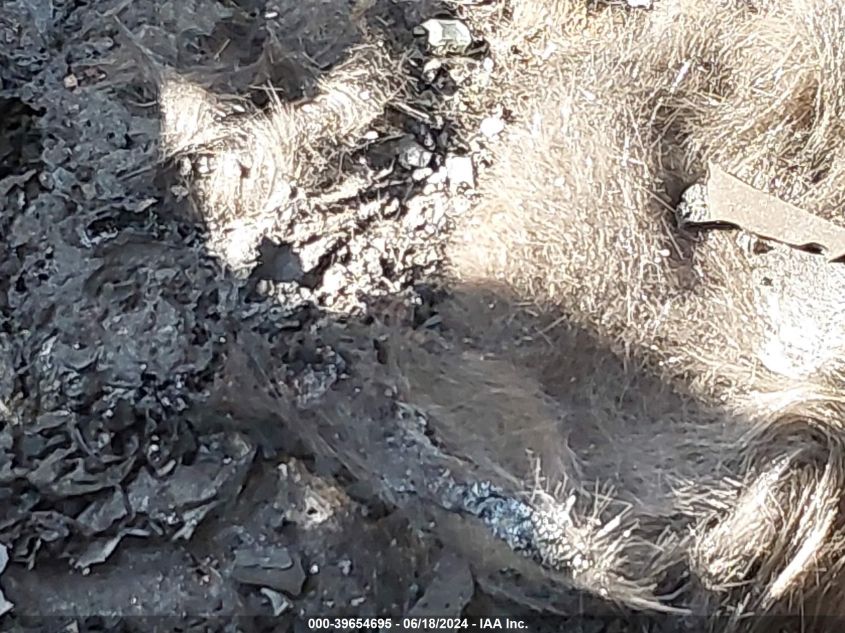 2010 Ford F-150 Stx/Xl VIN: 1FTEX1CW1AKA20528 Lot: 39654695