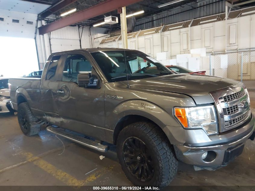 2013 Ford F-150 Xlt VIN: 1FTFX1CF4DFC43311 Lot: 39655310