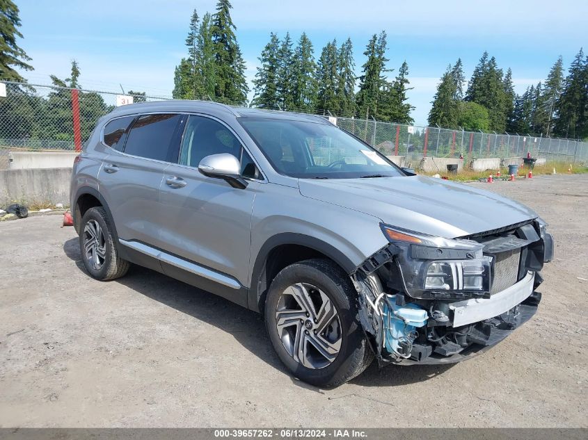 2023 Hyundai Santa Fe Sel VIN: 5NMS3DAJXPH571407 Lot: 39657262