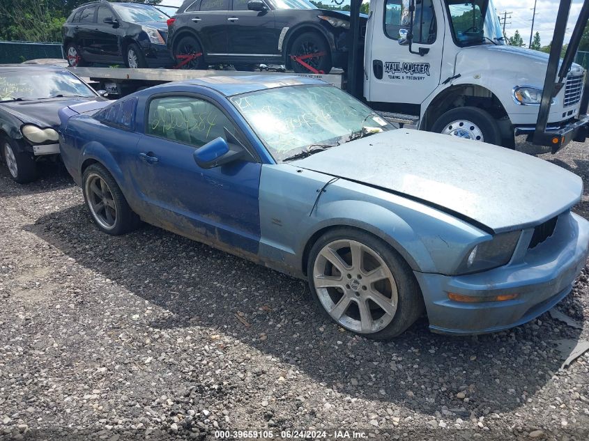 2006 Ford Mustang Gt VIN: 1ZVHT82H065113225 Lot: 39659105