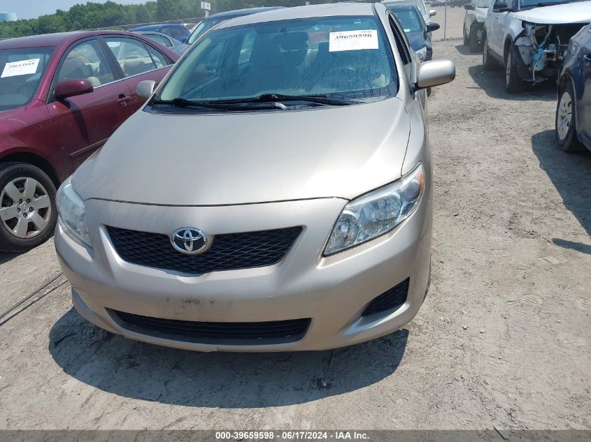 2010 Toyota Corolla Le VIN: 2T1BU4EE8AC243880 Lot: 39659598
