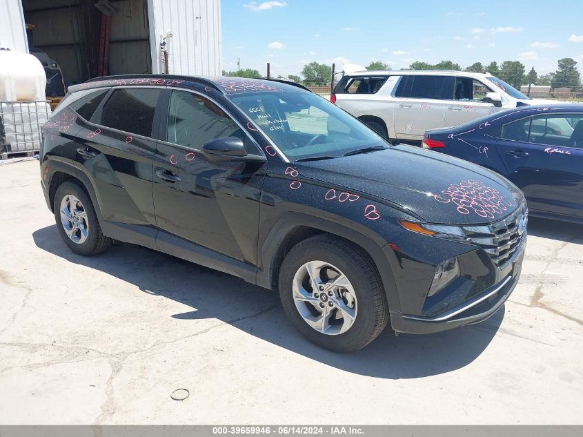 2024 Hyundai Tucson Sel VIN: 5NMJB3DE3RH353206 Lot: 39659946