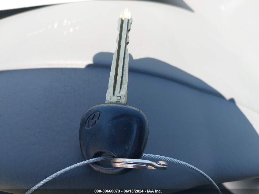 2002 Hyundai Santa Fe Gls/Lx VIN: KM8SC13DX2U255797 Lot: 39660073