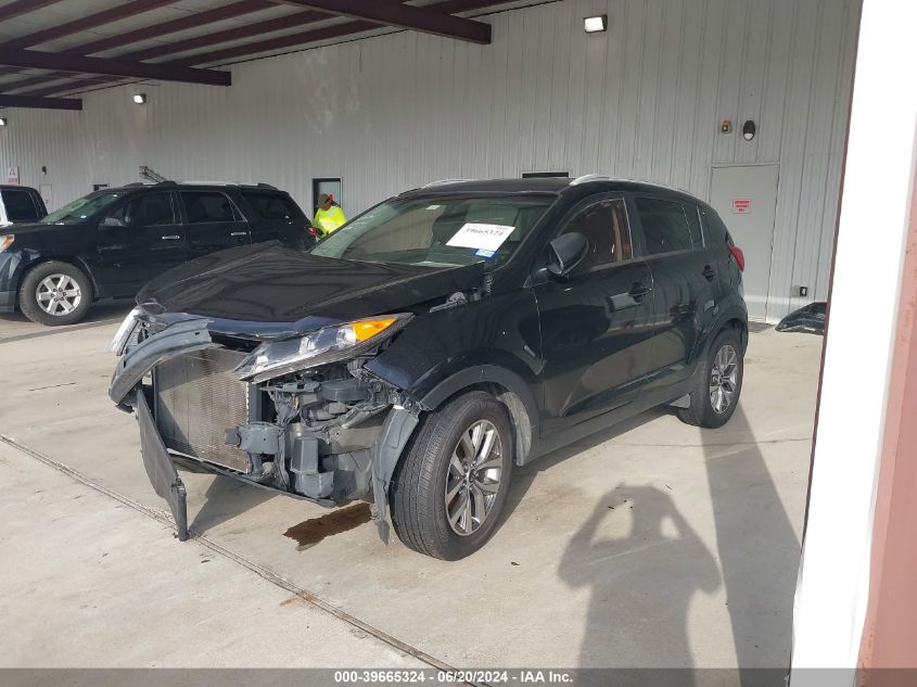 2016 Kia Sportage Lx VIN: KNDPB3AC8G7848096 Lot: 39665324